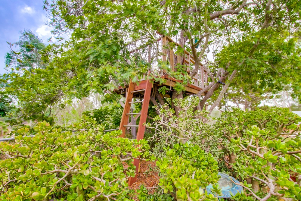 Virtual tour photo 42 of 50 for 3409 Mt Armour Ct