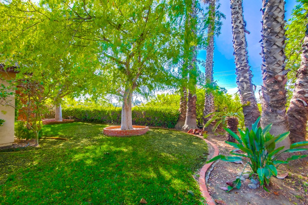 Virtual tour photo 59 of 60 for 3415 Conrad Ave