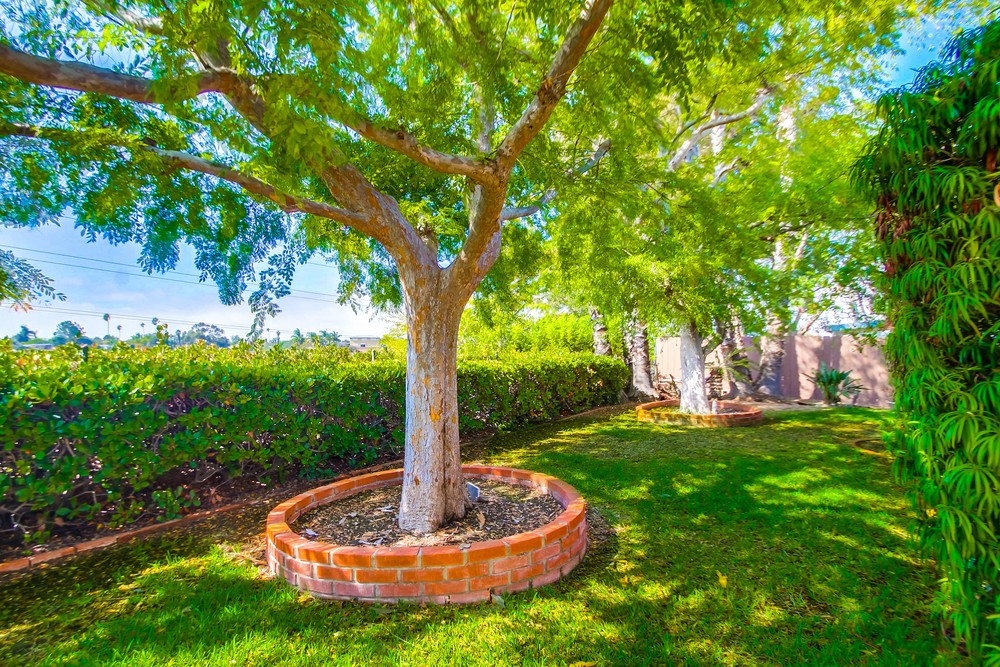 Virtual tour photo 60 of 60 for 3415 Conrad Ave