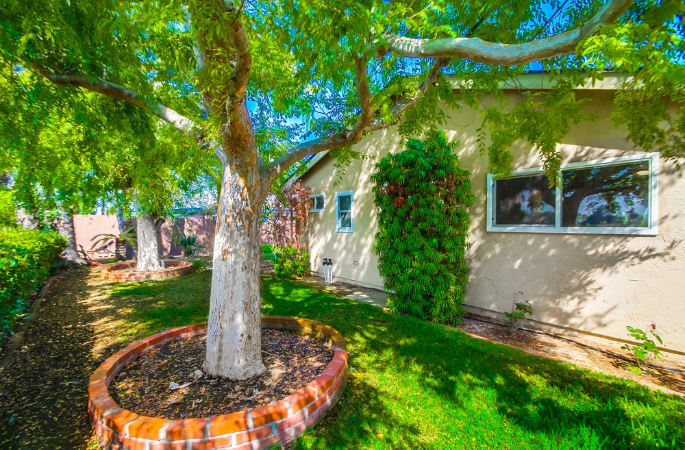Virtual tour photo 61 of 60 for 3415 Conrad Ave