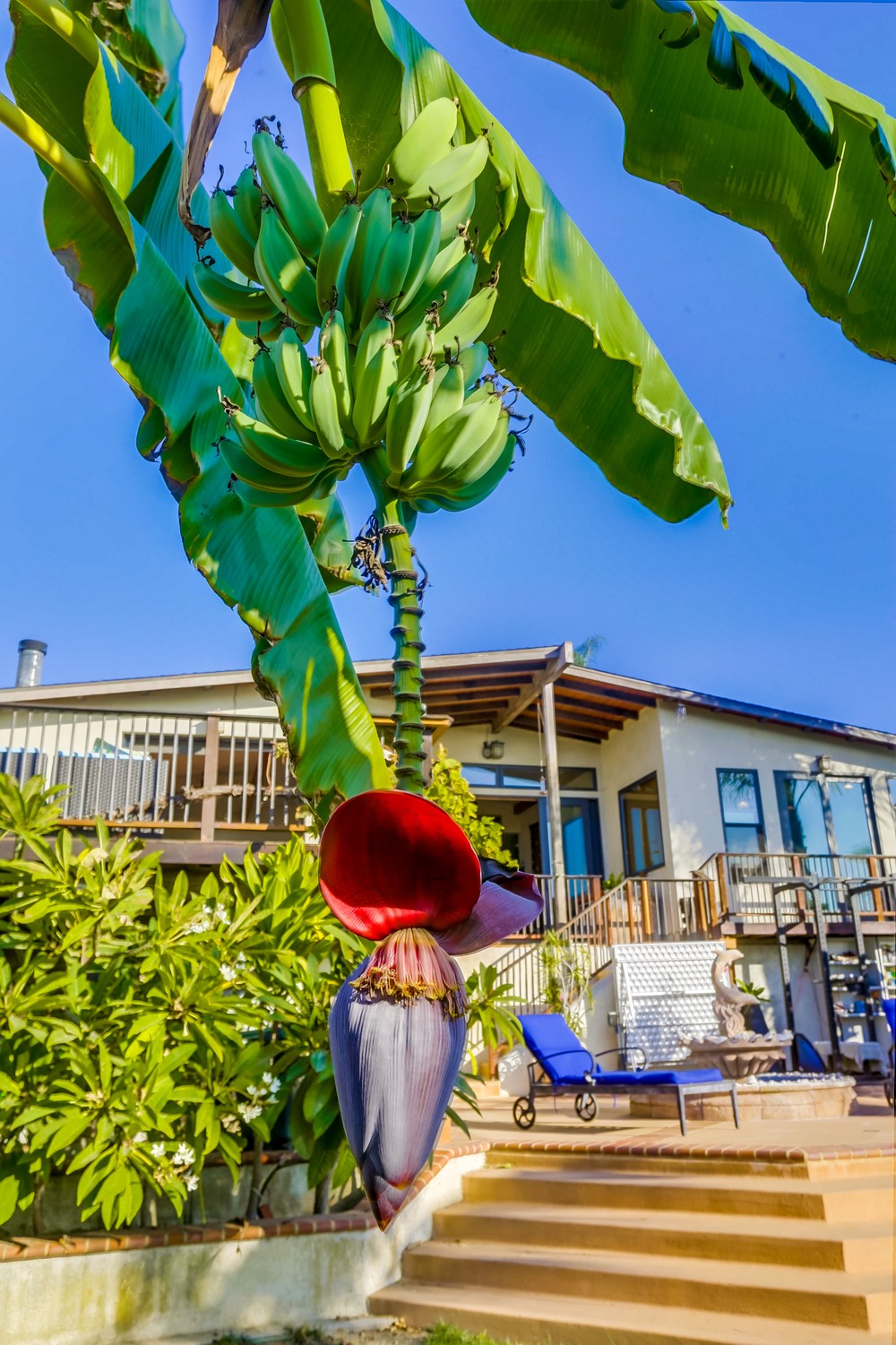Virtual tour photo 62 of 65 for 3422 Borreson St