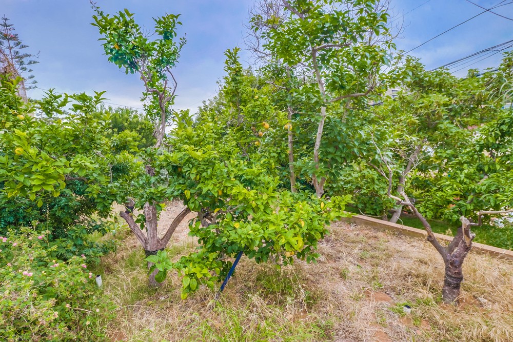 Virtual tour photo 58 of 62 for 3435 Hill St