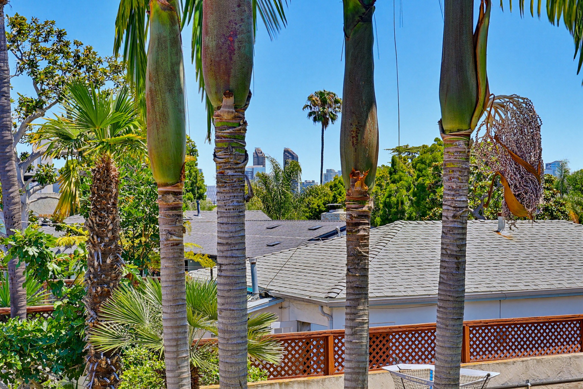 Virtual tour photo 17 of 59 for 344 G Ave