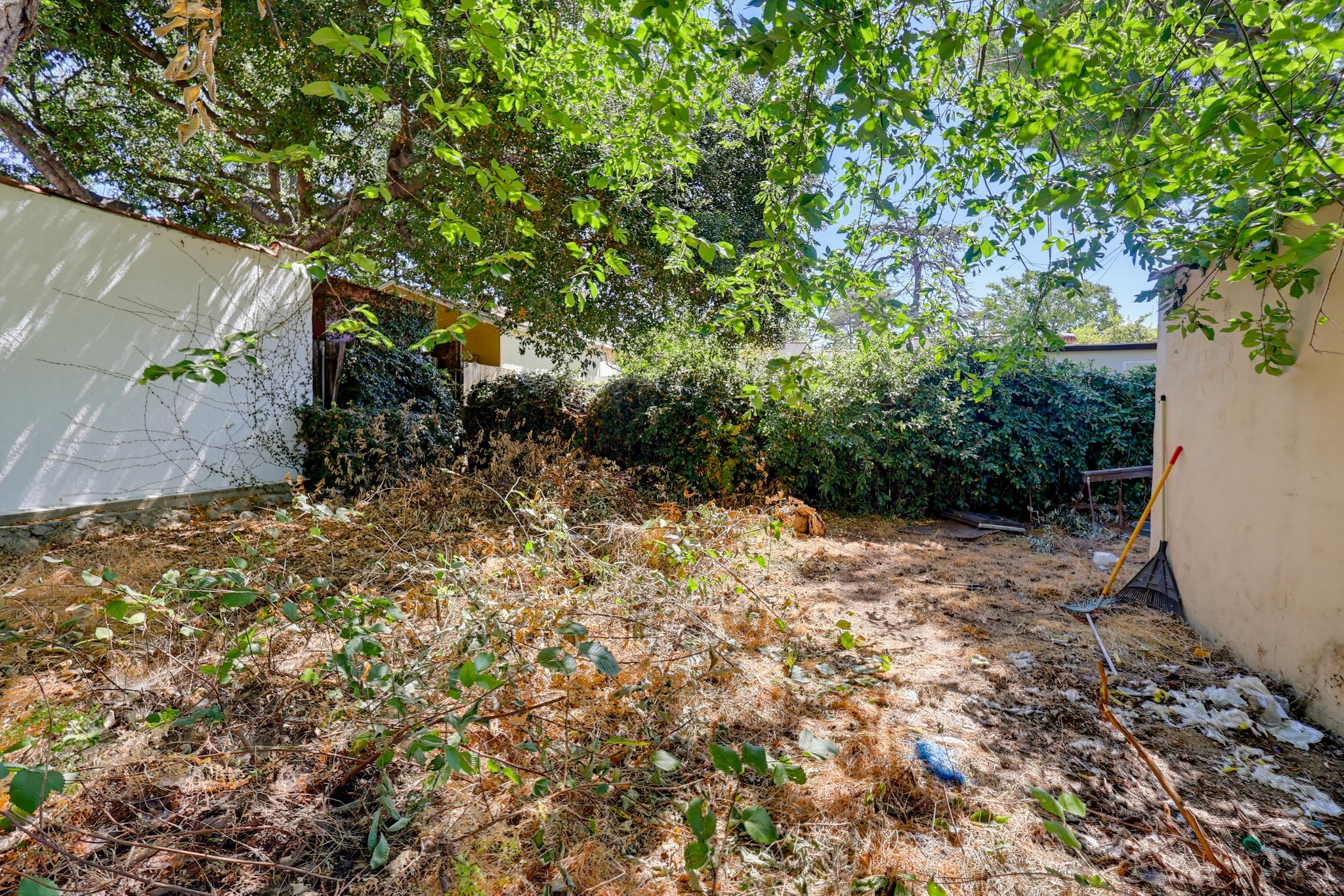 Virtual tour photo 54 of 61 for 3444 Las Palmas Ave