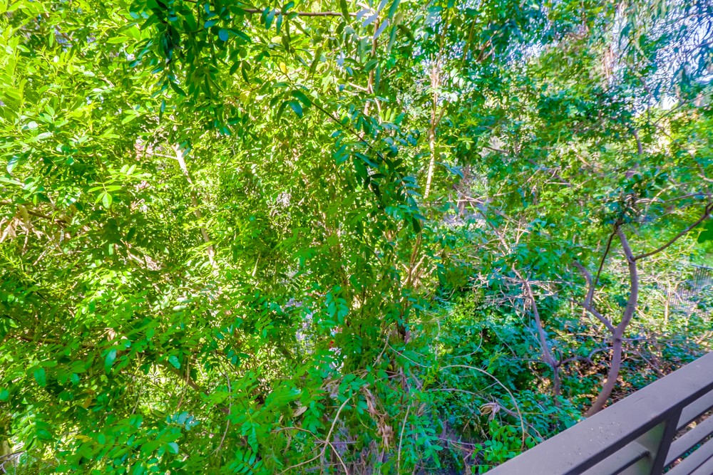 Virtual tour photo 23 of 57 for 3446 Alabama St