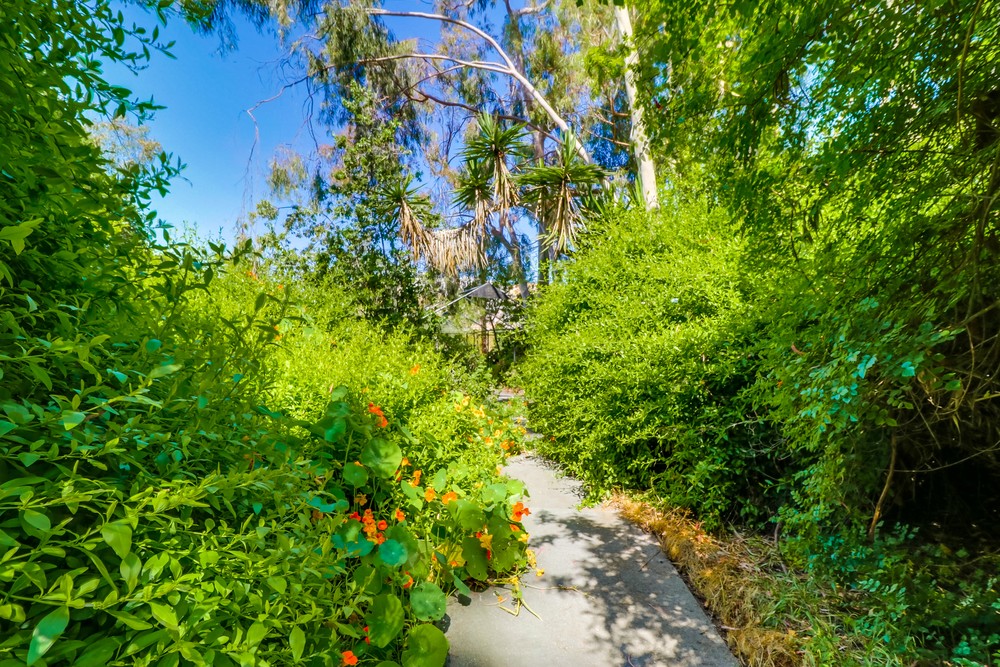 Virtual tour photo 50 of 57 for 3446 Alabama St