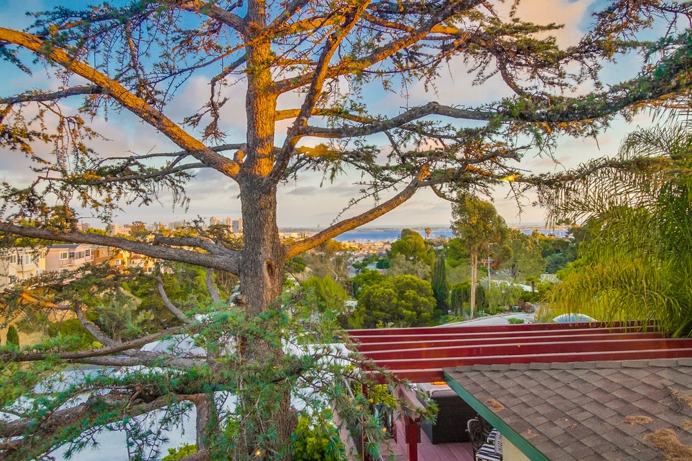 Virtual tour photo 41 of 70 for 3449 Ibis Street