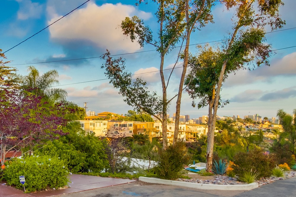Virtual tour photo 71 of 70 for 3449 Ibis Street