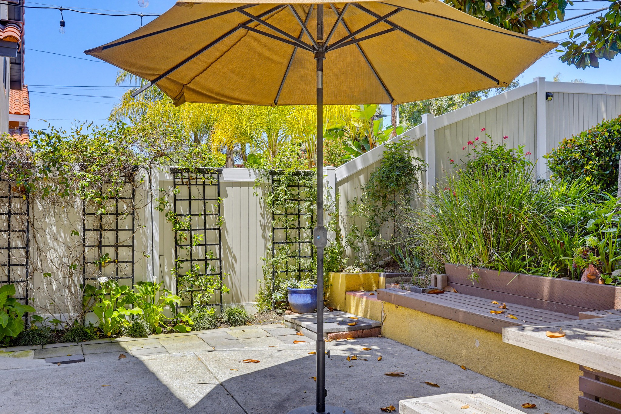 Virtual tour photo 71 of 84 for 34550 Calle Naranja