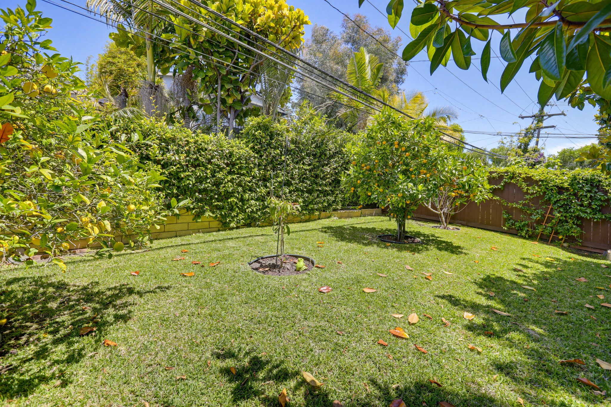 Virtual tour photo 80 of 84 for 34550 Calle Naranja