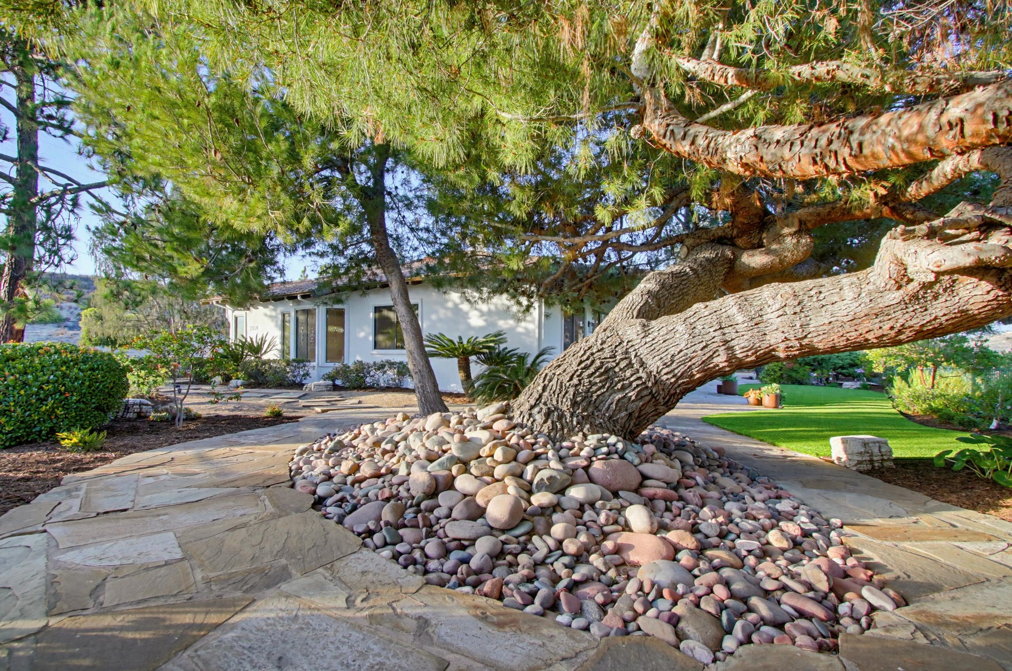 Virtual tour photo 74 of 142 for 3504 Nettle Pl