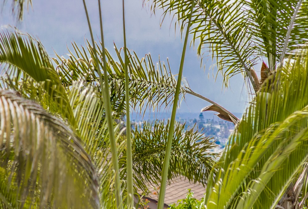 Virtual tour photo 104 of 108 for 3520 Vista De La Orilla