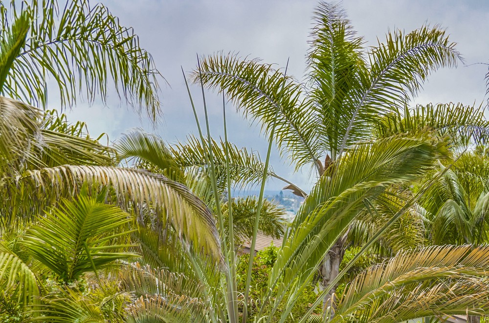 Virtual tour photo 105 of 108 for 3520 Vista De La Orilla
