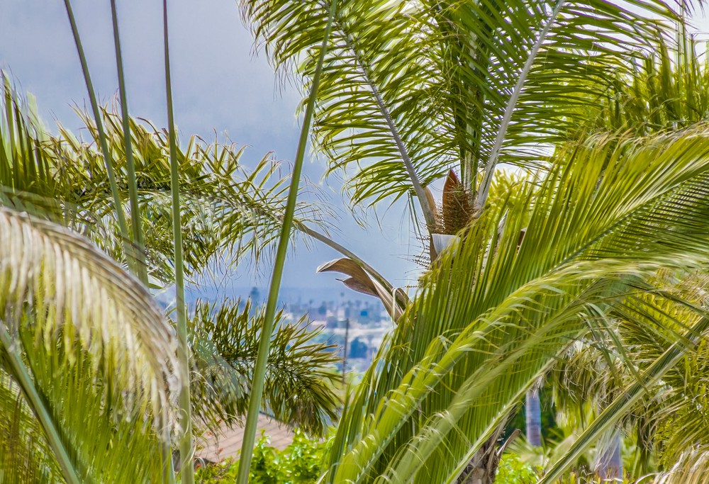 Virtual tour photo 107 of 108 for 3520 Vista De La Orilla