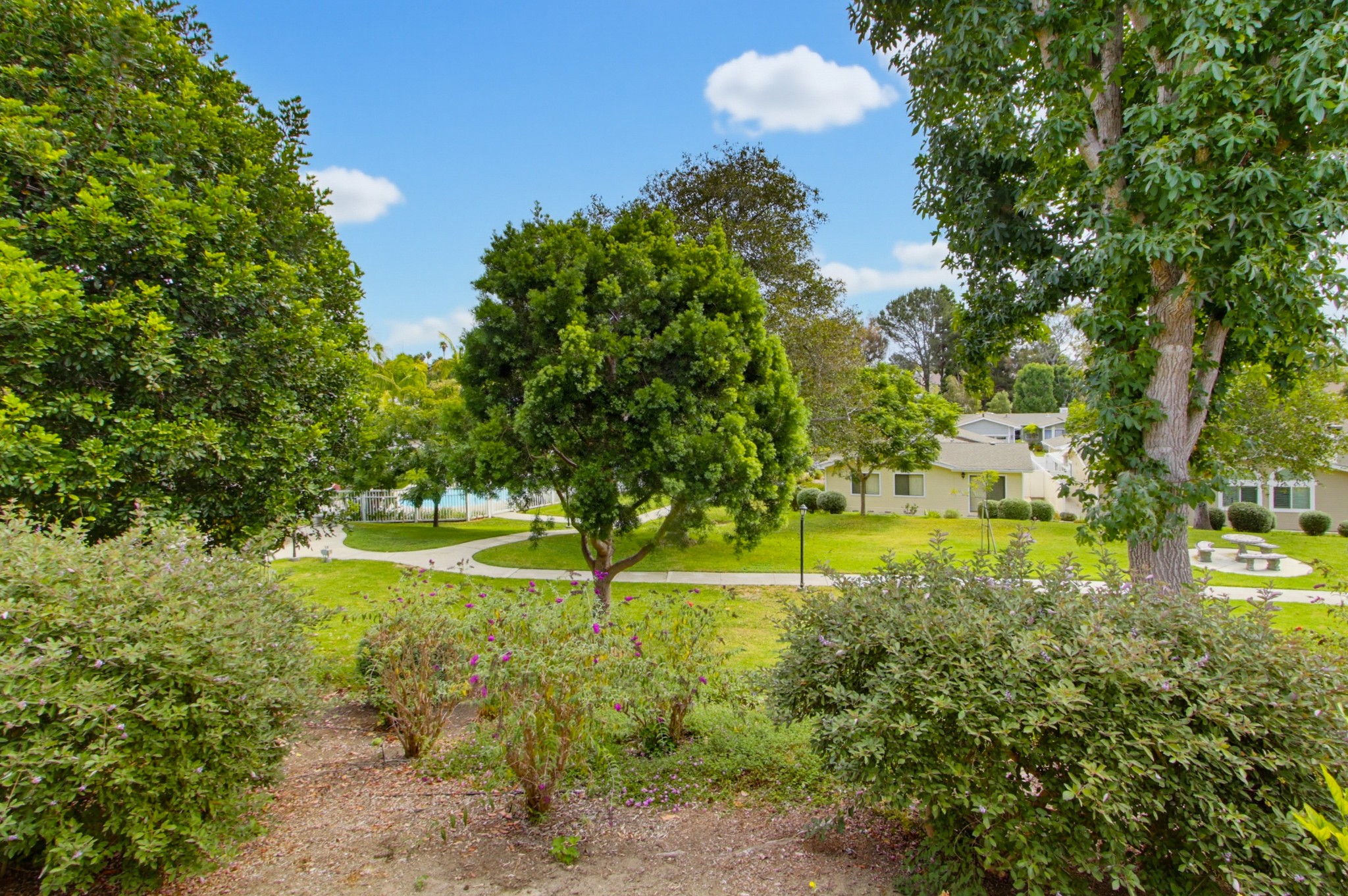 Virtual tour photo 42 of 45 for 3522 Turquoise Ln