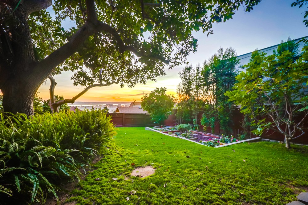 Virtual tour photo 37 of 104 for 3526 Crowell St