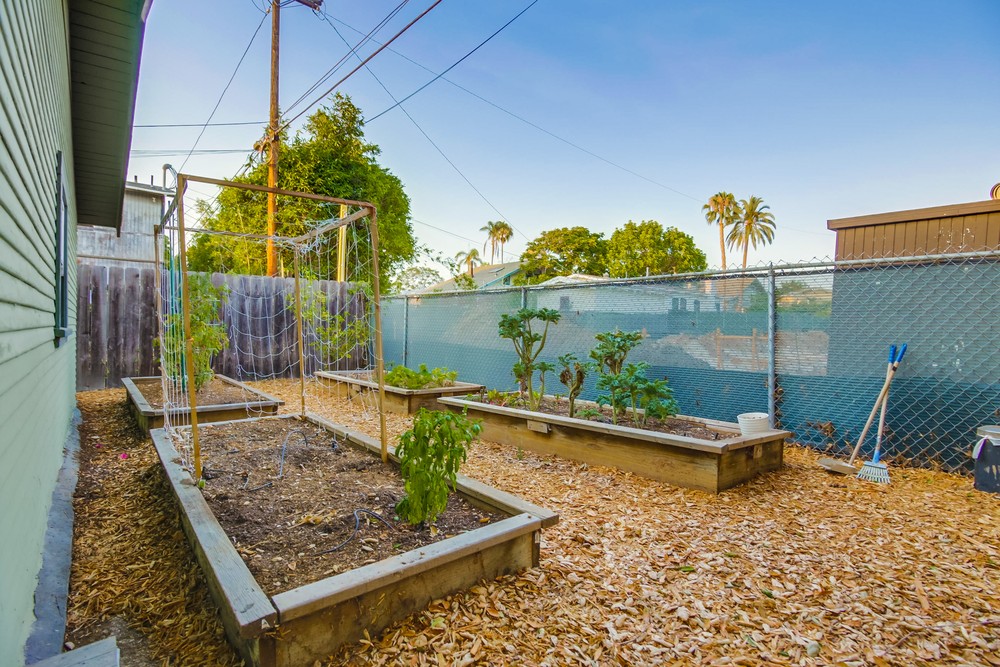 Virtual tour photo 48 of 49 for 3529 Louisiana St
