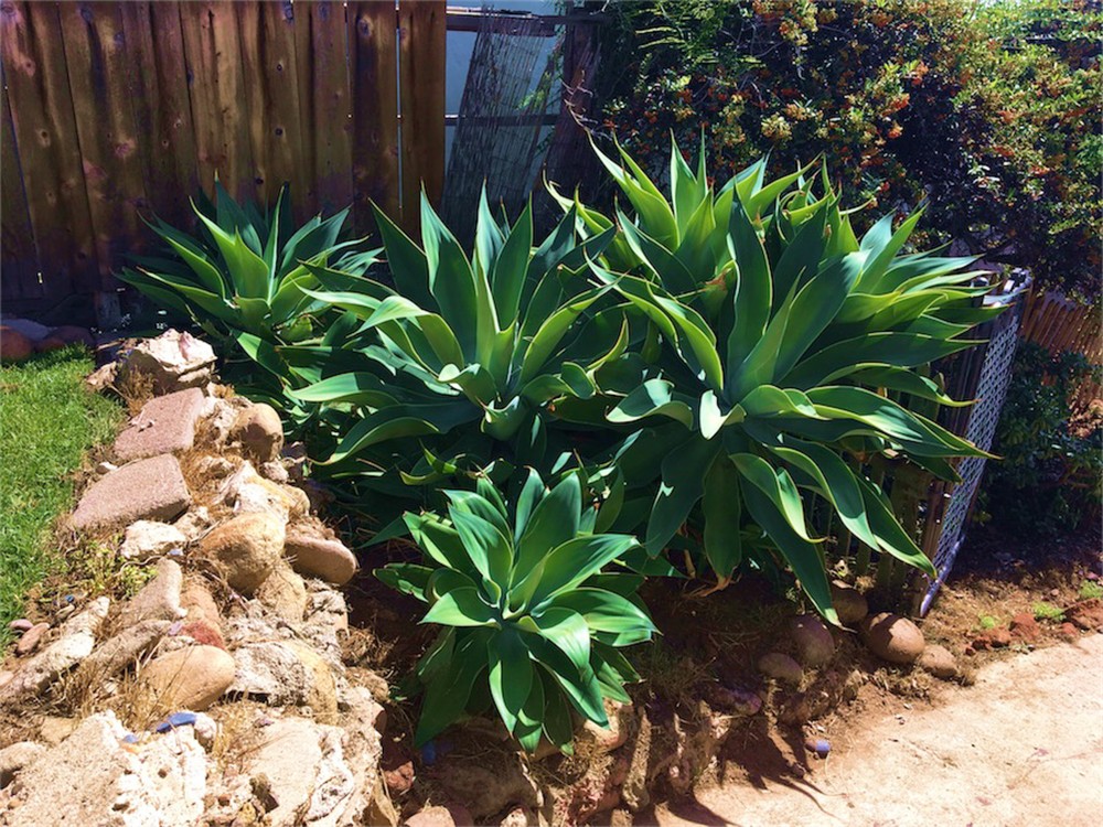 Virtual tour photo 58 of 64 for Ocean and Sunset Views in the Heart of San Diego