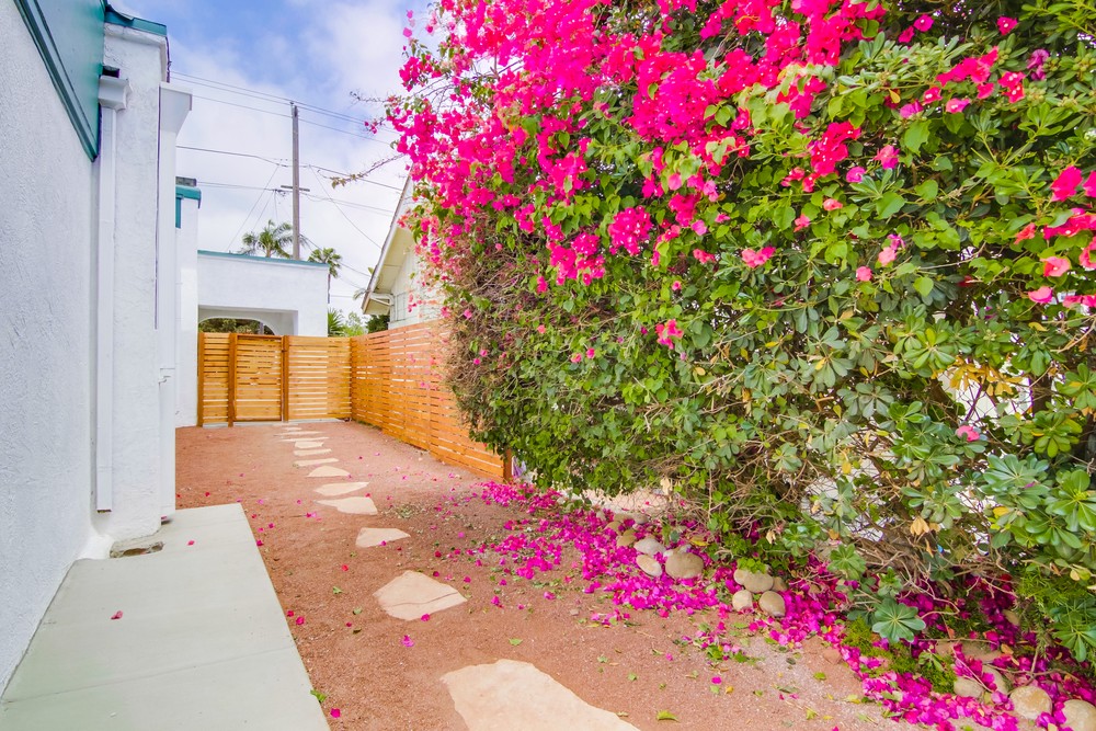 Virtual tour photo 45 of 51 for 3536 29th St