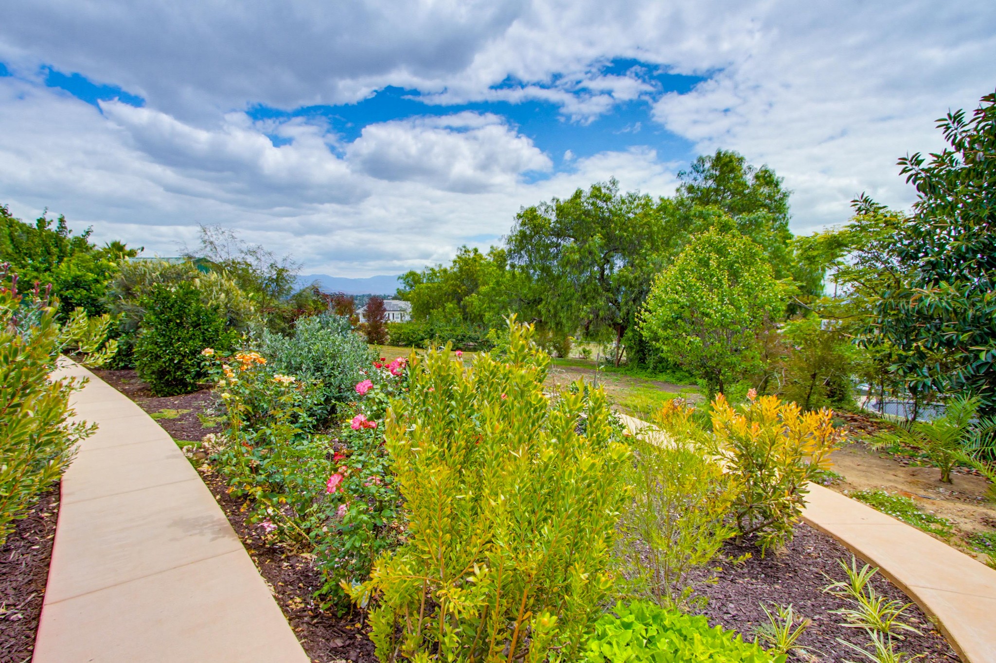 Virtual tour photo 72 of 72 for 3538 Cazador Ln