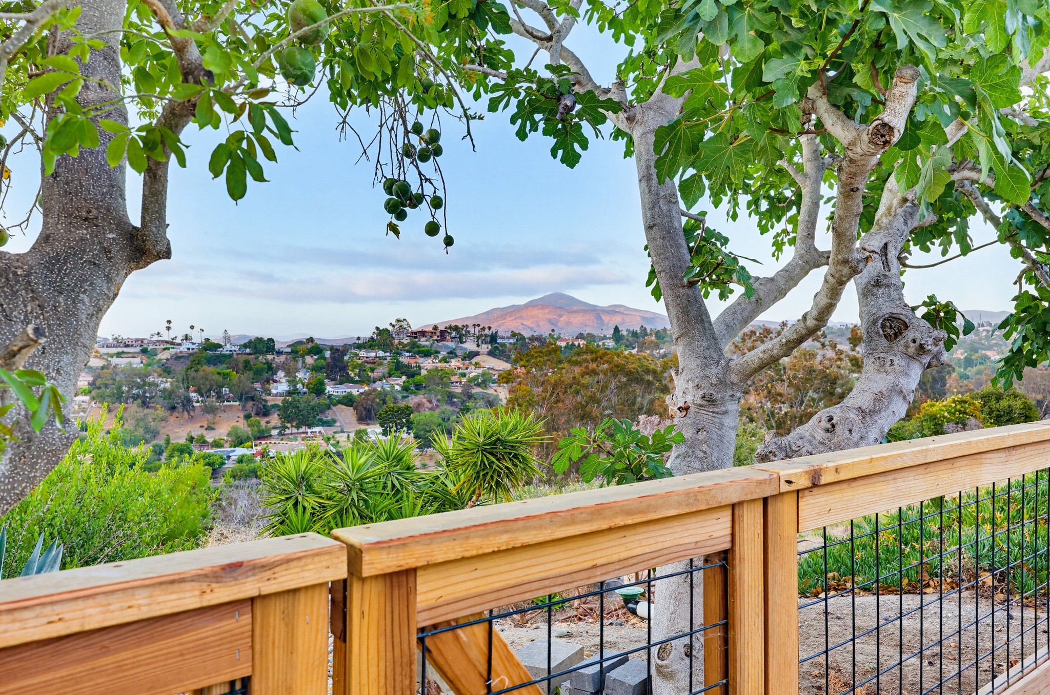 Virtual tour photo 27 of 150 for 355 Greenwood Pl