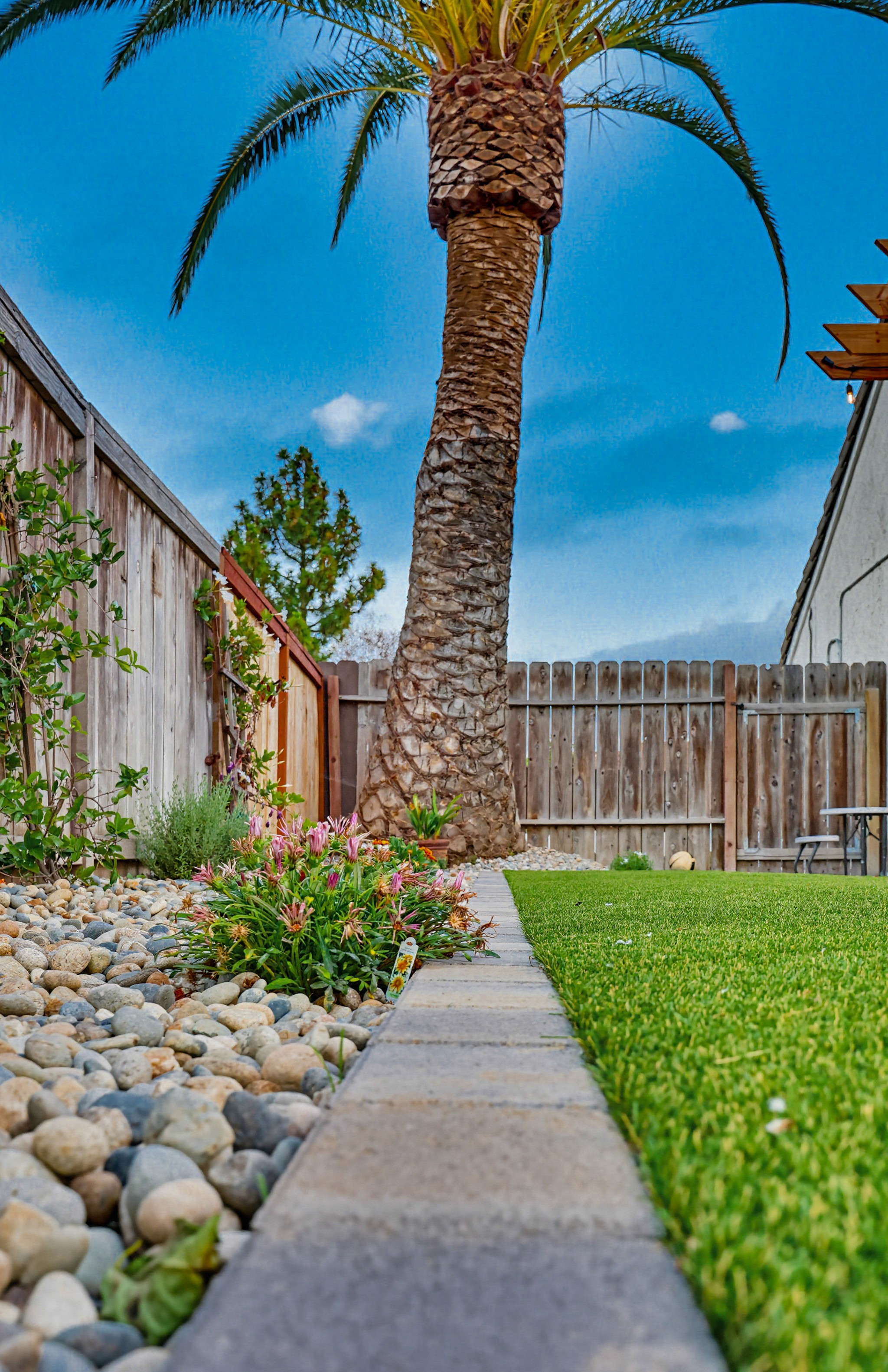 Virtual tour photo 60 of 150 for 355 Greenwood Pl