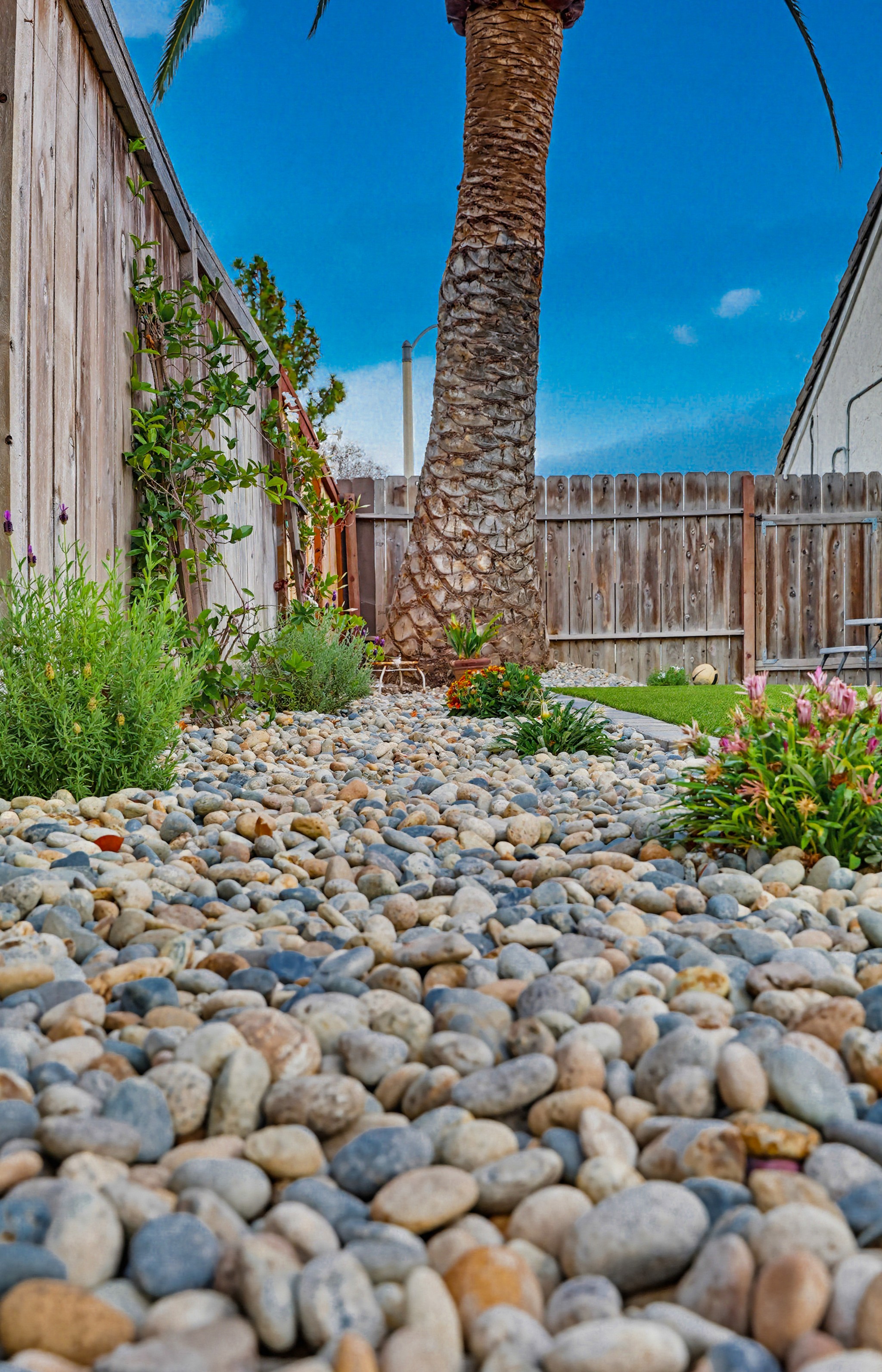 Virtual tour photo 61 of 150 for 355 Greenwood Pl