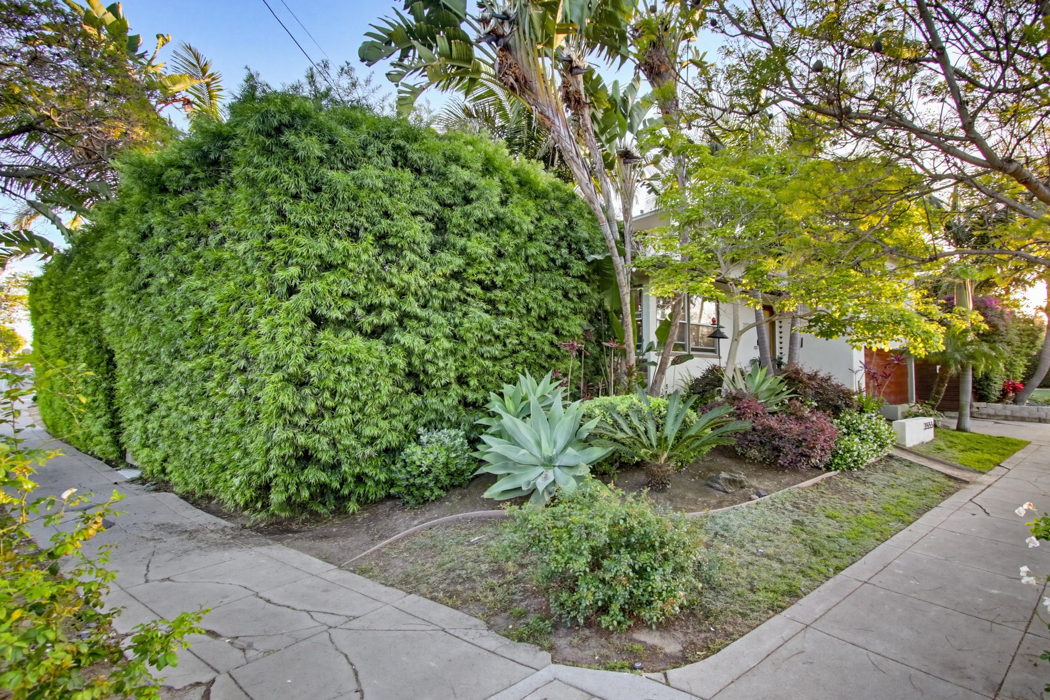 Virtual tour photo 75 of 88 for 3555 Copley Ave