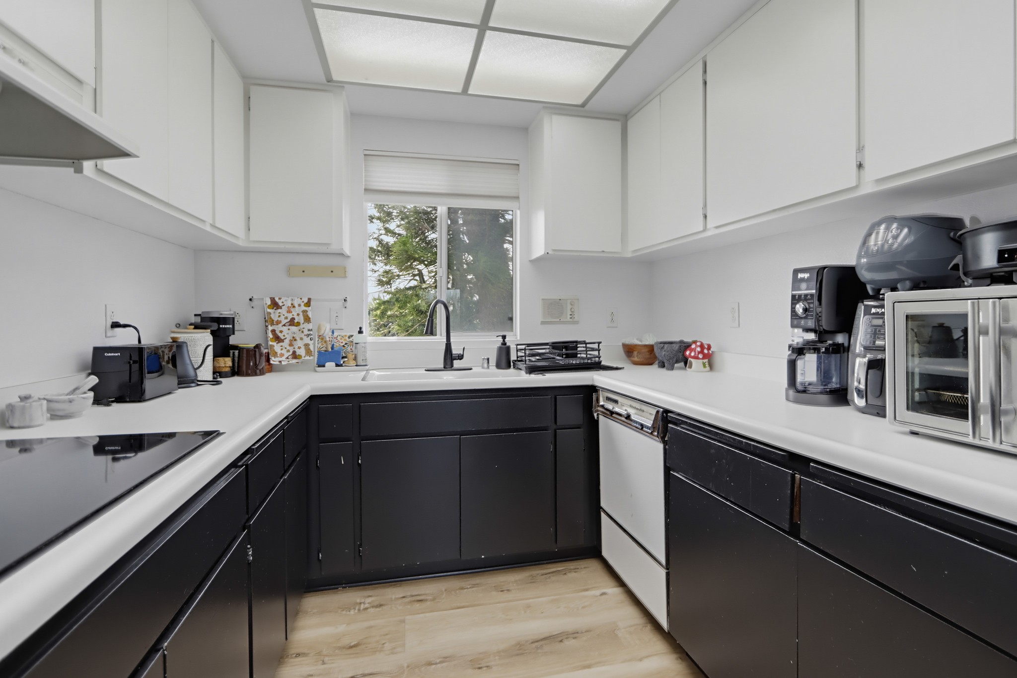 Virtual tour photo 20 of 62 for 357 Alta Ln