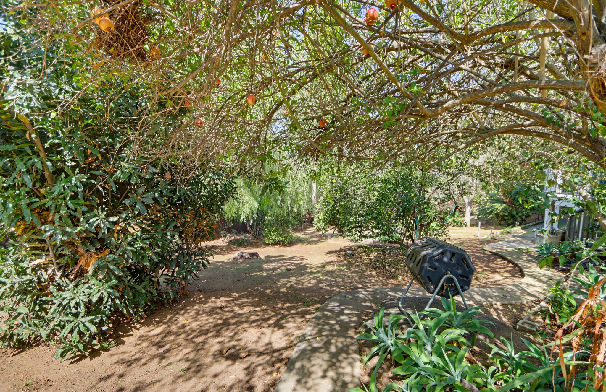 Virtual tour photo 40 of 62 for 357 Alta Ln
