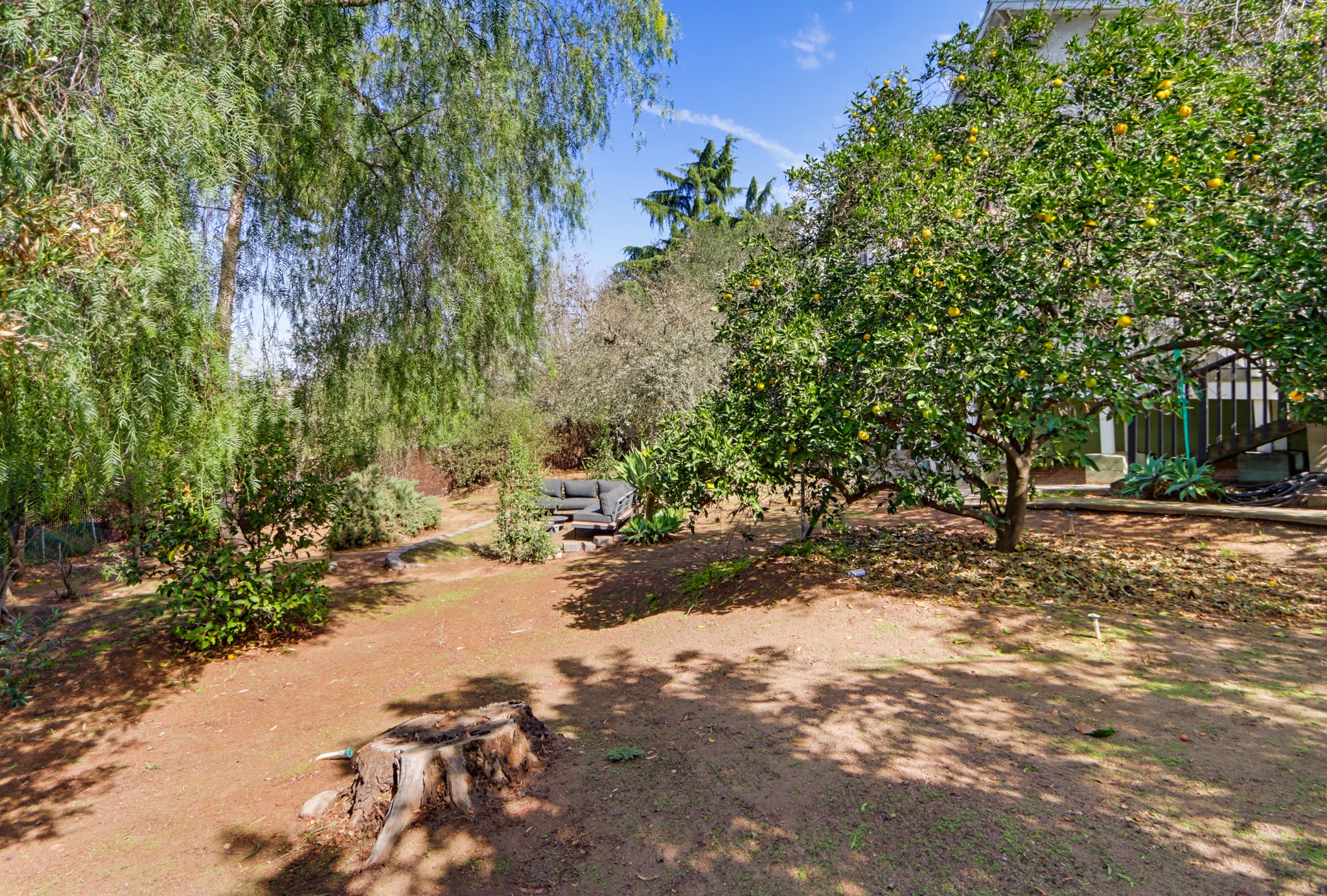 Virtual tour photo 41 of 62 for 357 Alta Ln