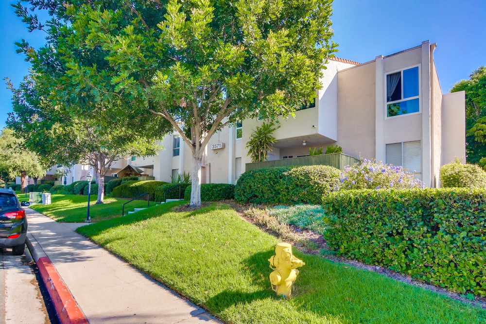 Virtual tour photo 1 of 44 for 3571 Ruffin Rd UNIT 240