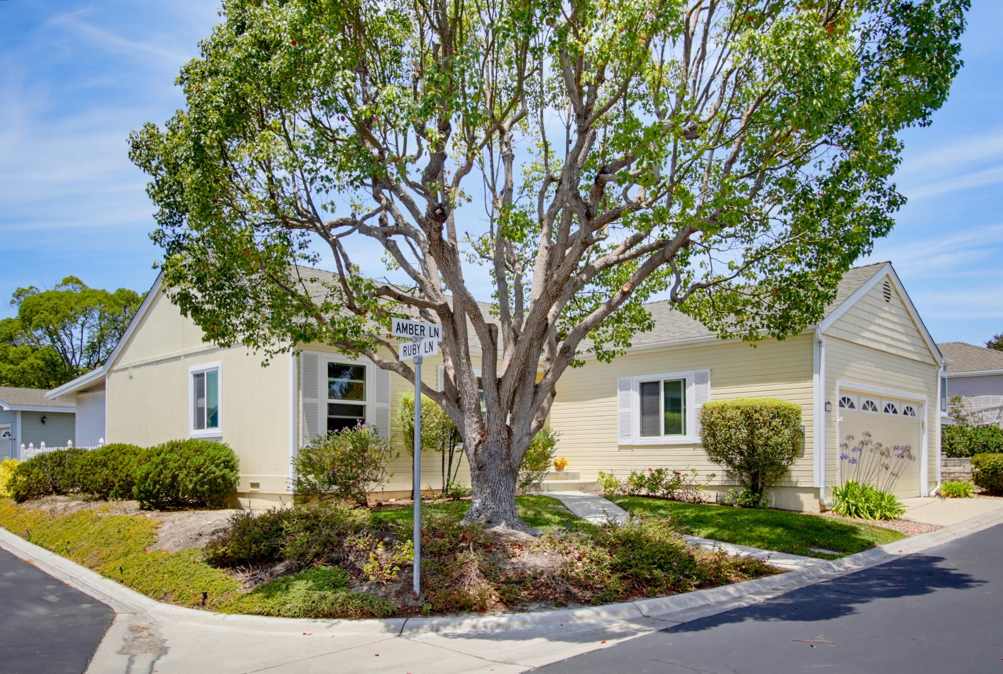 Virtual tour photo 3 of 43 for 3573 Amber Ln