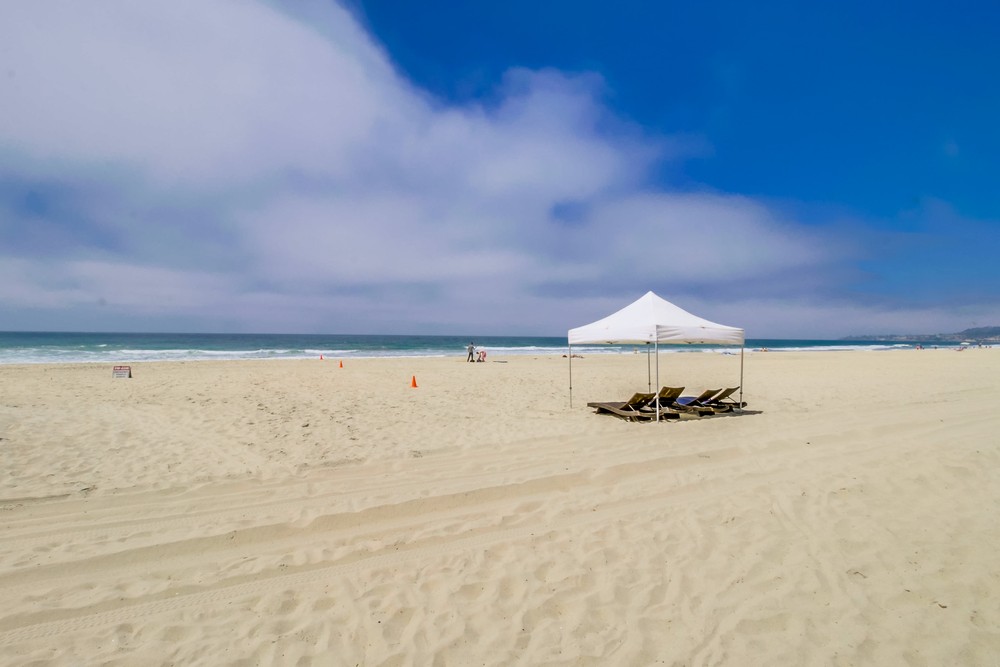 Virtual tour photo 18 of 24 for 3599 Mission Blvd #5