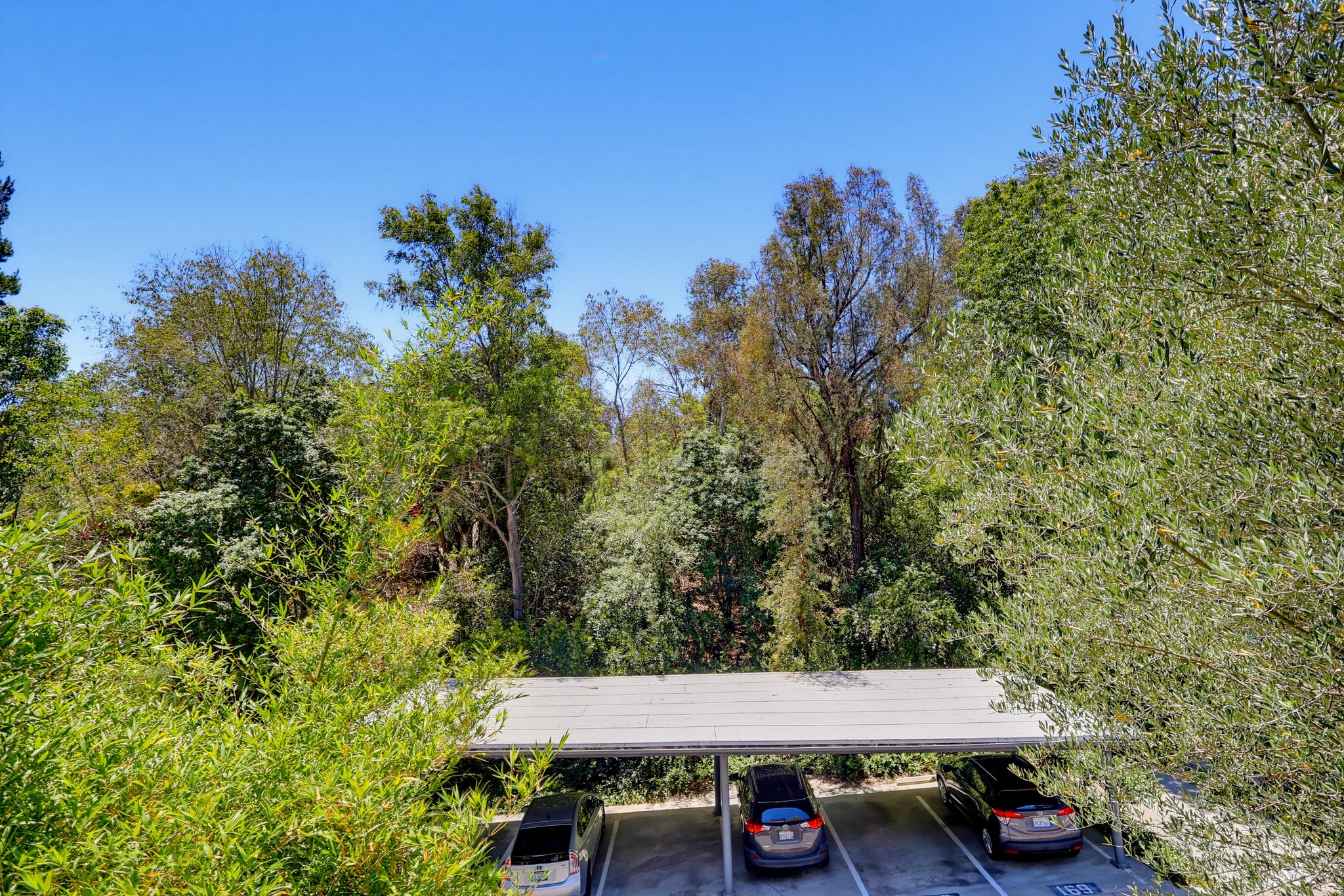 Virtual tour photo 30 of 50 for 3601 W Hidden Ln