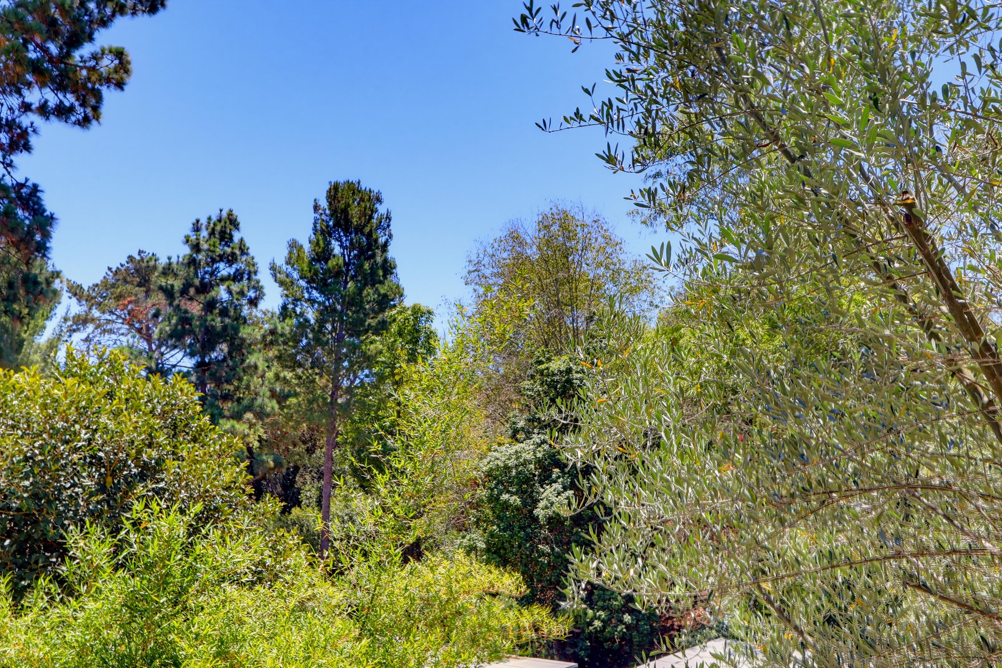 Virtual tour photo 31 of 50 for 3601 W Hidden Ln
