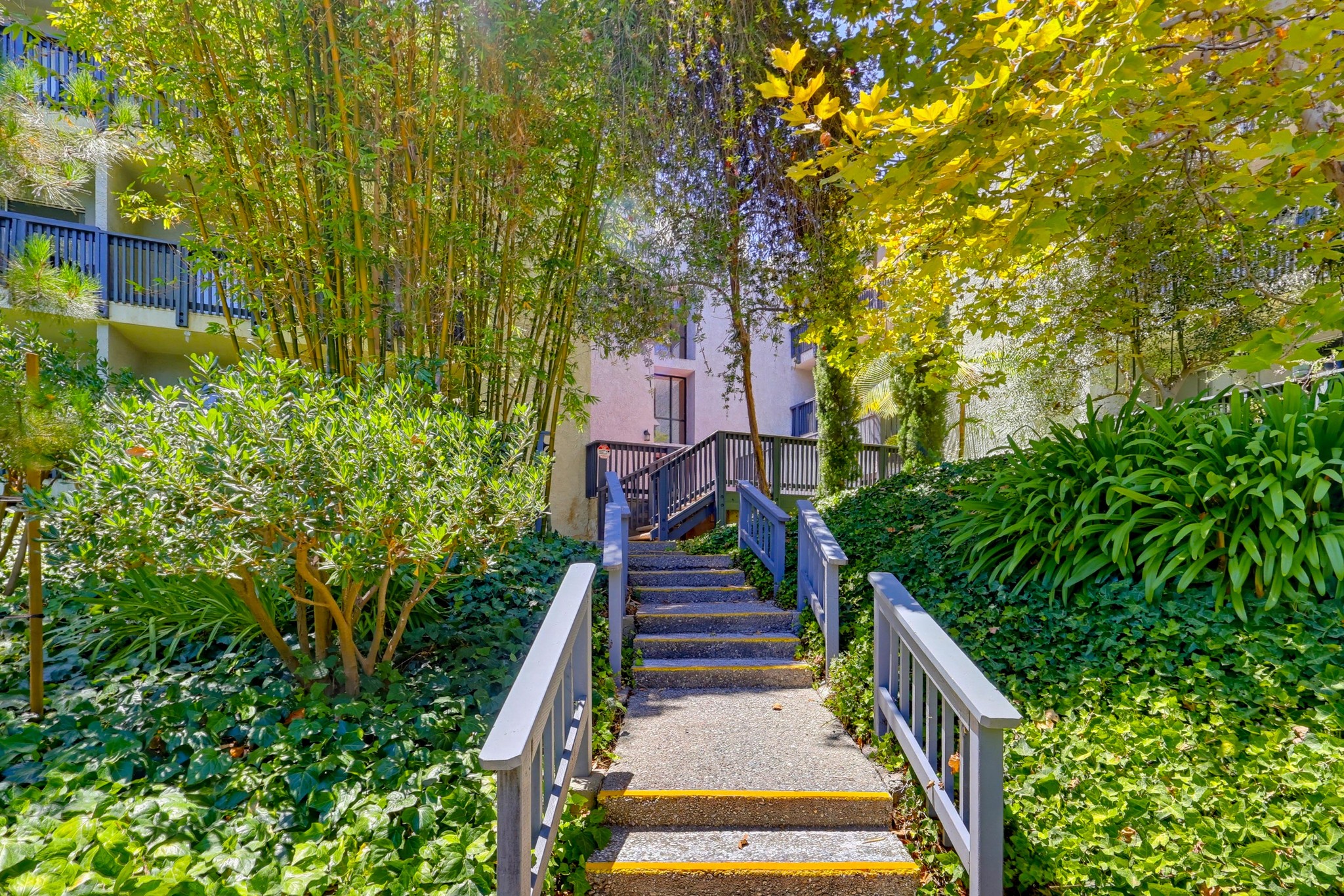 Virtual tour photo 46 of 50 for 3601 W Hidden Ln
