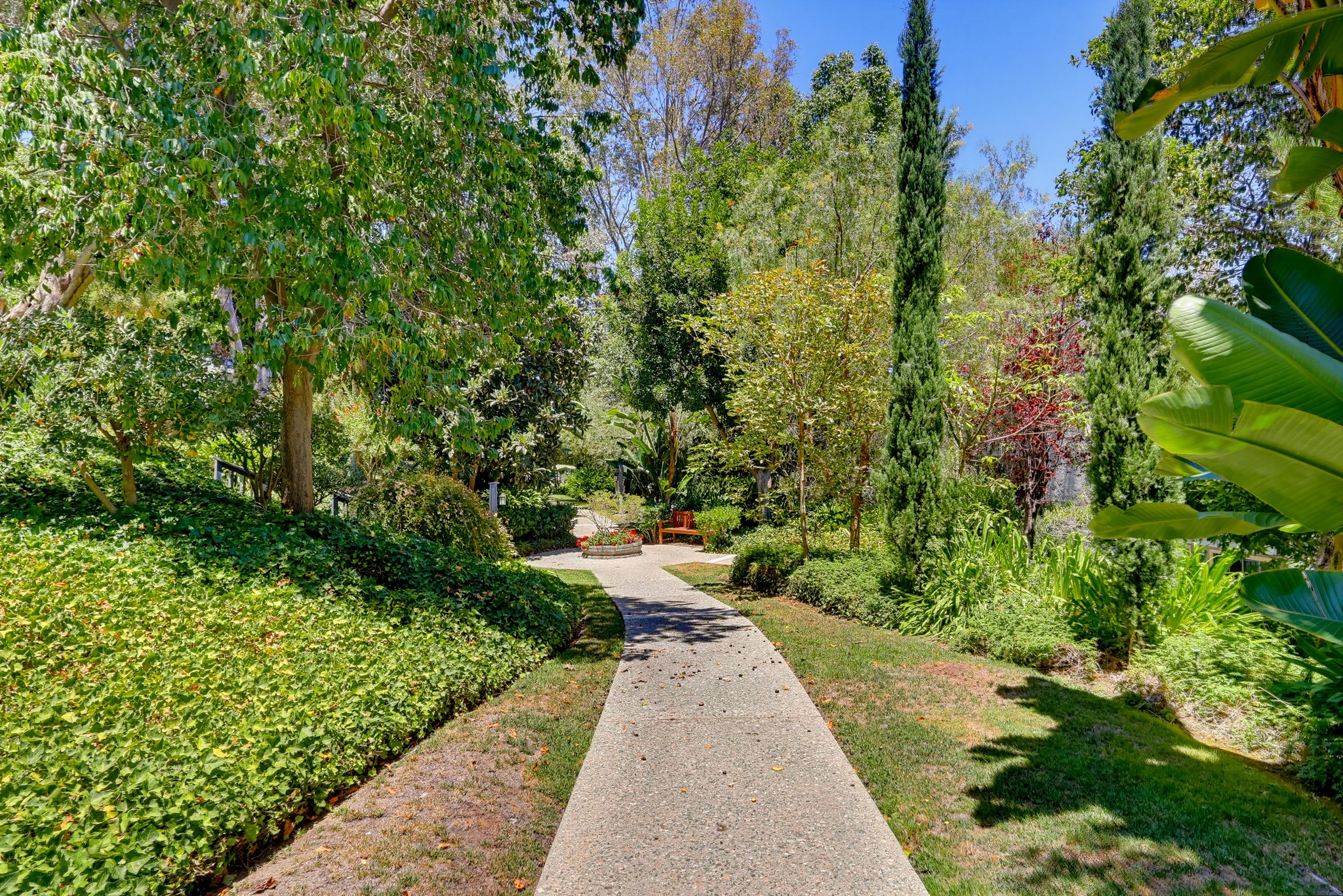 Virtual tour photo 48 of 50 for 3601 W Hidden Ln