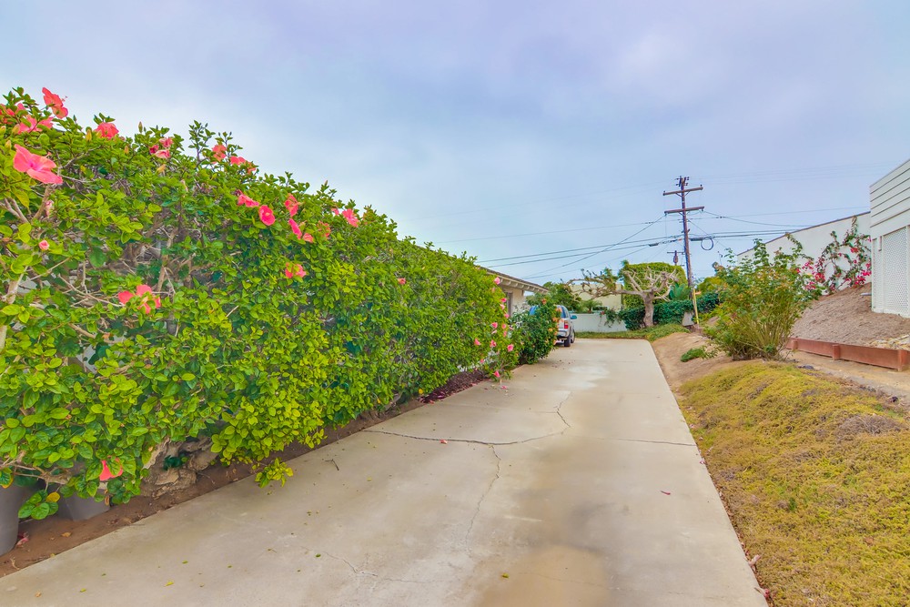 Virtual tour photo 76 of 75 for 3605 Liggett Dr