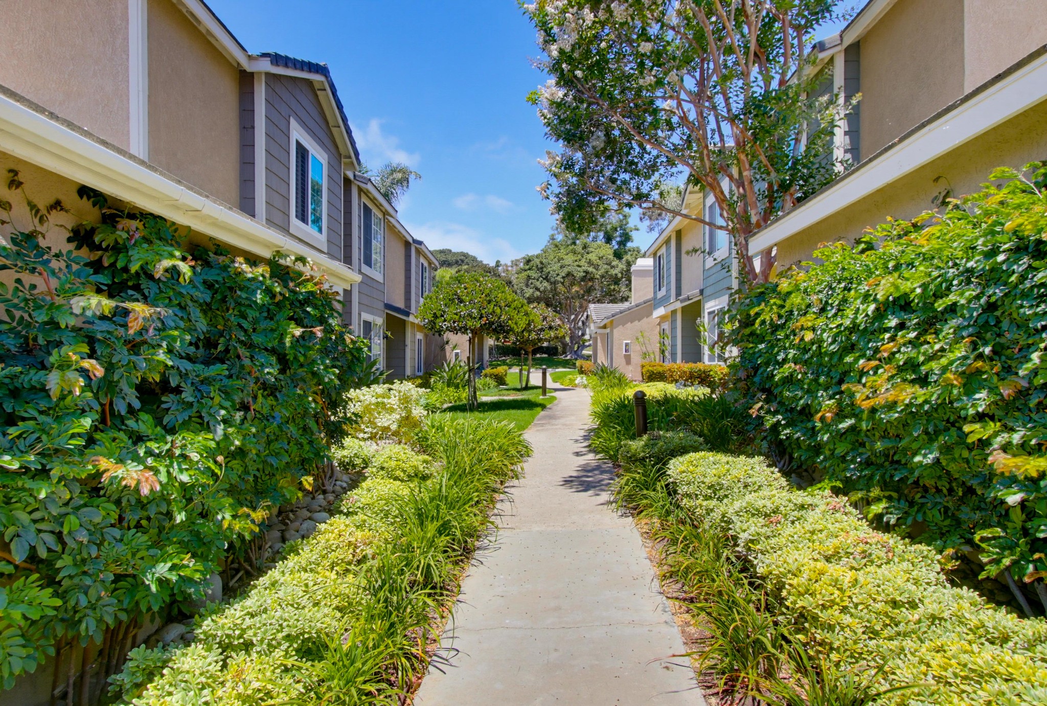 Virtual tour photo 3 of 43 for 3614 Caminito Carmel Landing