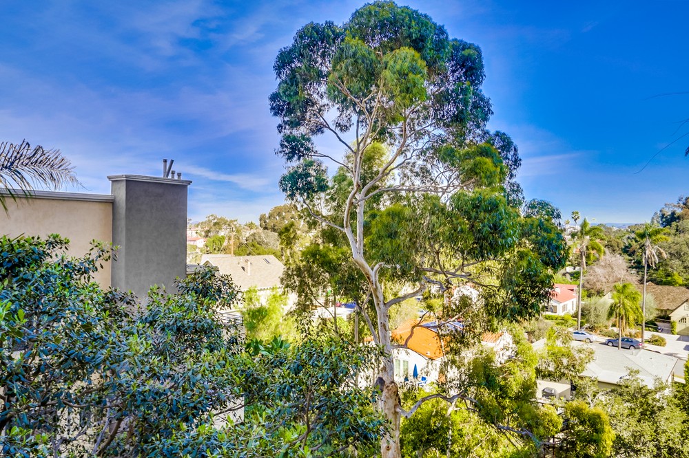 Virtual tour photo 50 of 60 for 3635 7th Avenue #5d