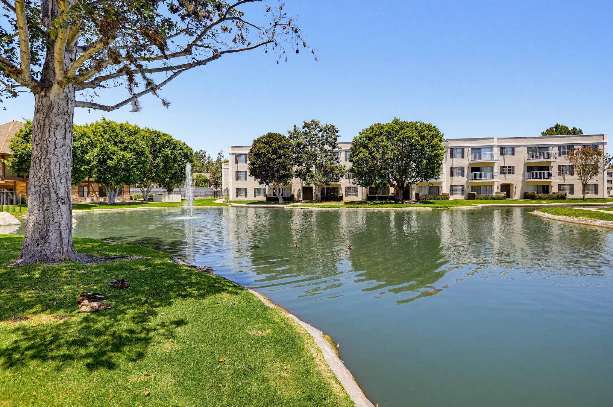 Virtual tour photo 49 of 62 for 3643 S Bear St Unit G