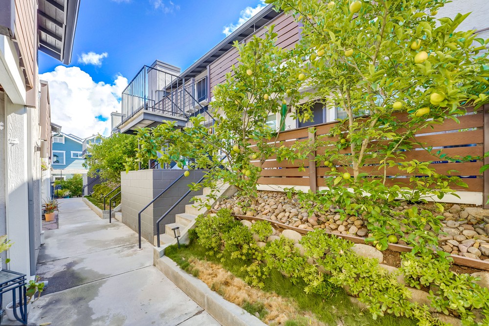 Virtual tour photo 9 of 48 for 3651 Louisiana St #104