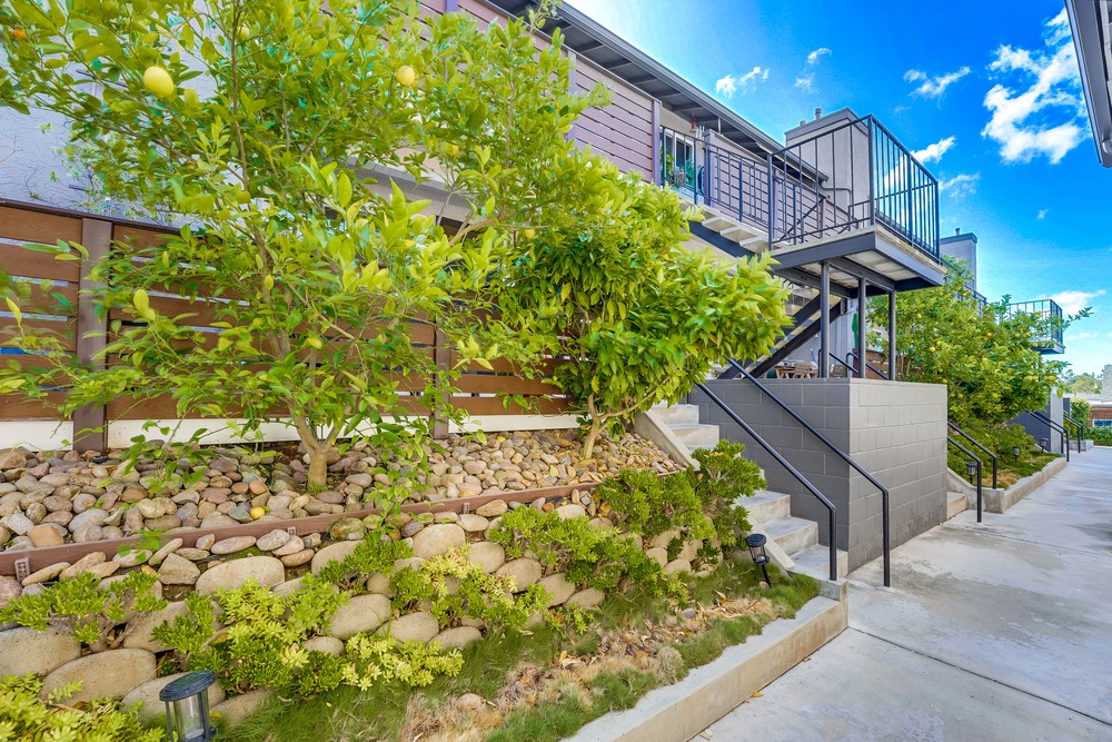 Virtual tour photo 11 of 48 for 3651 Louisiana St #104