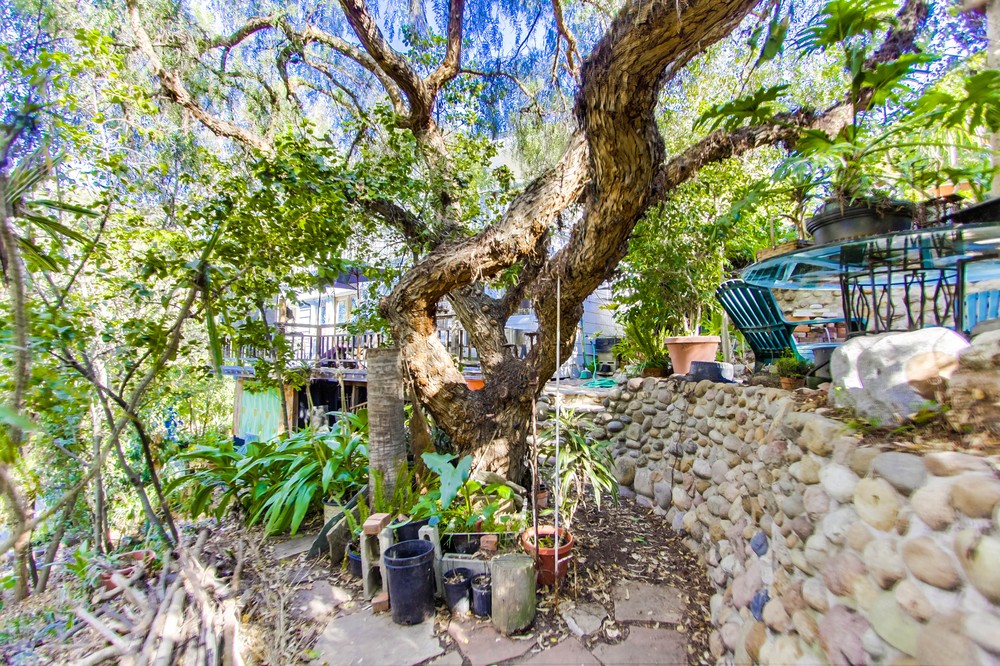 Virtual tour photo 55 of 67 for 3664 Herbert Street