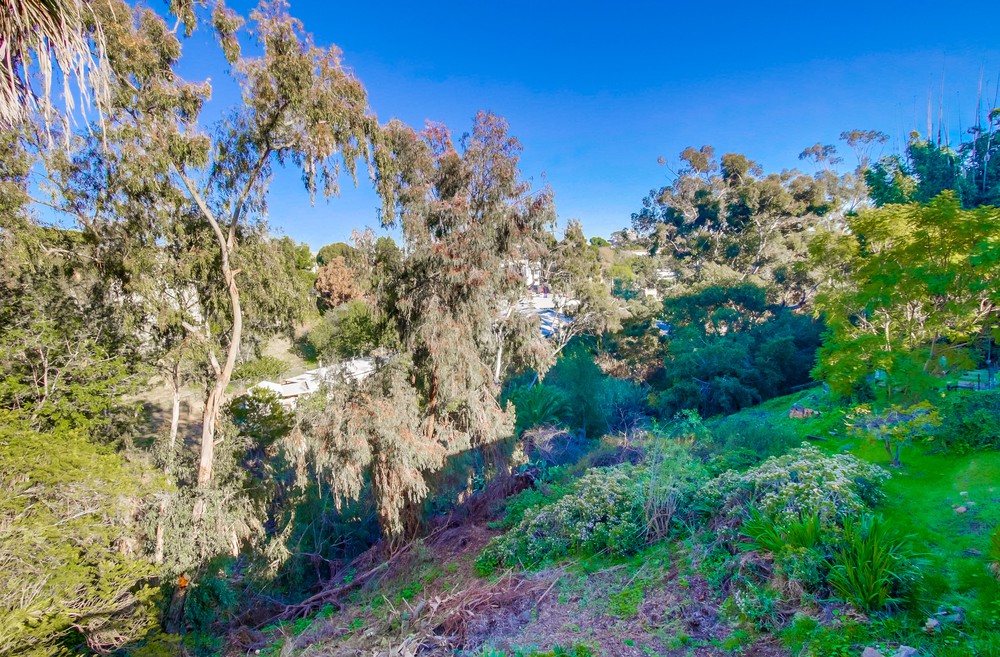 Virtual tour photo 48 of 50 for 3683 Jackdaw St
