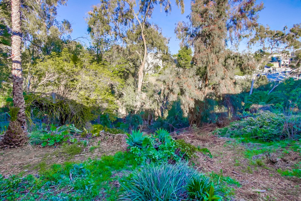 Virtual tour photo 49 of 50 for 3683 Jackdaw St