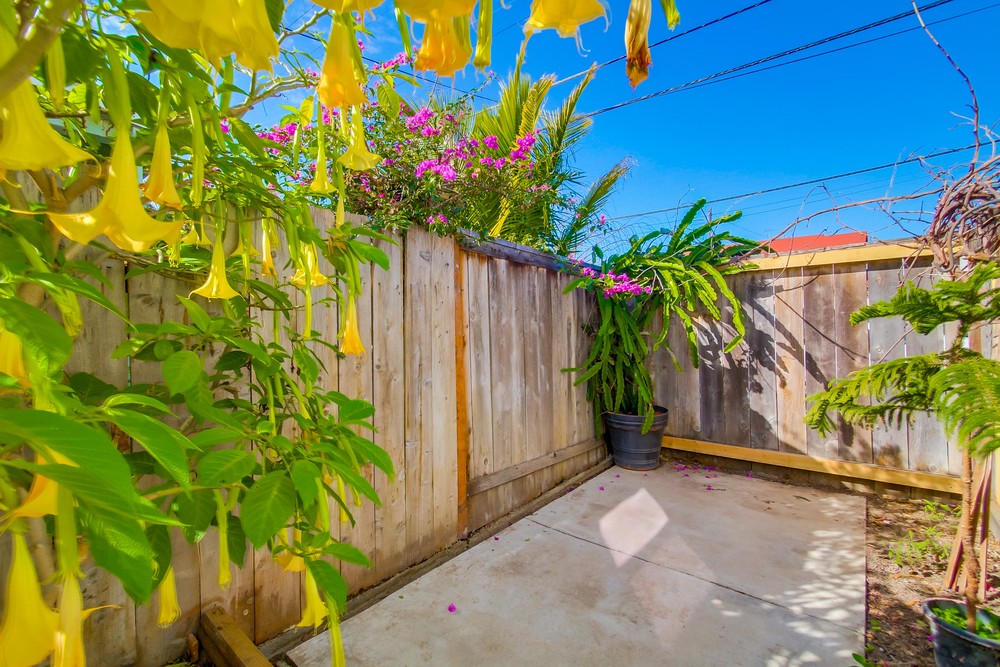 Virtual tour photo 39 of 43 for 3689 Monroe Ave