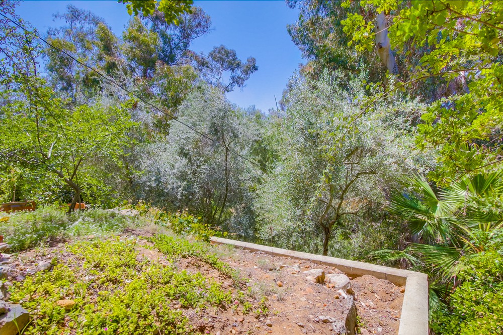 Virtual tour photo 43 of 55 for 3704 Robinson Pl