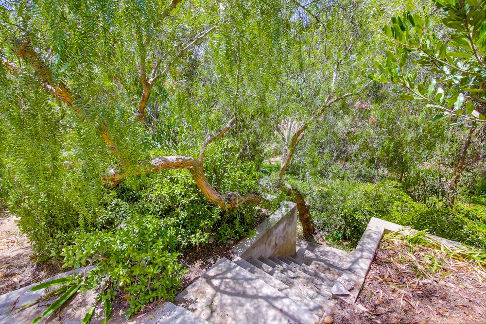 Virtual tour photo 45 of 55 for 3704 Robinson Pl